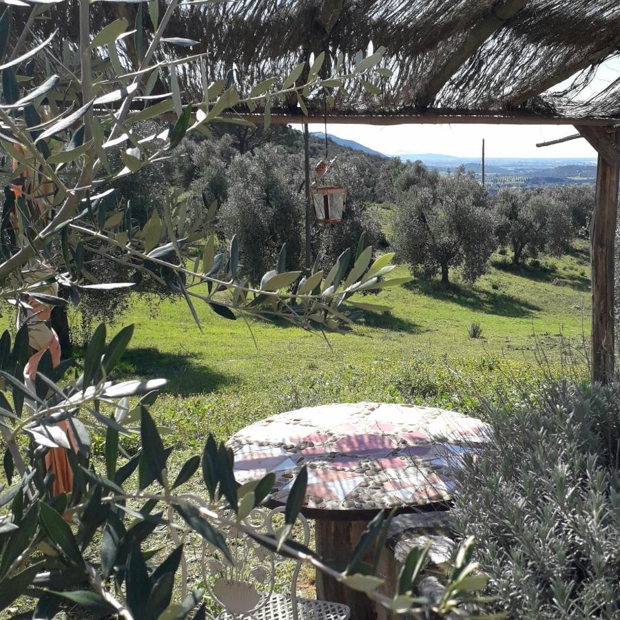 Agriturismo Poggio Falco Batignano Extérieur photo