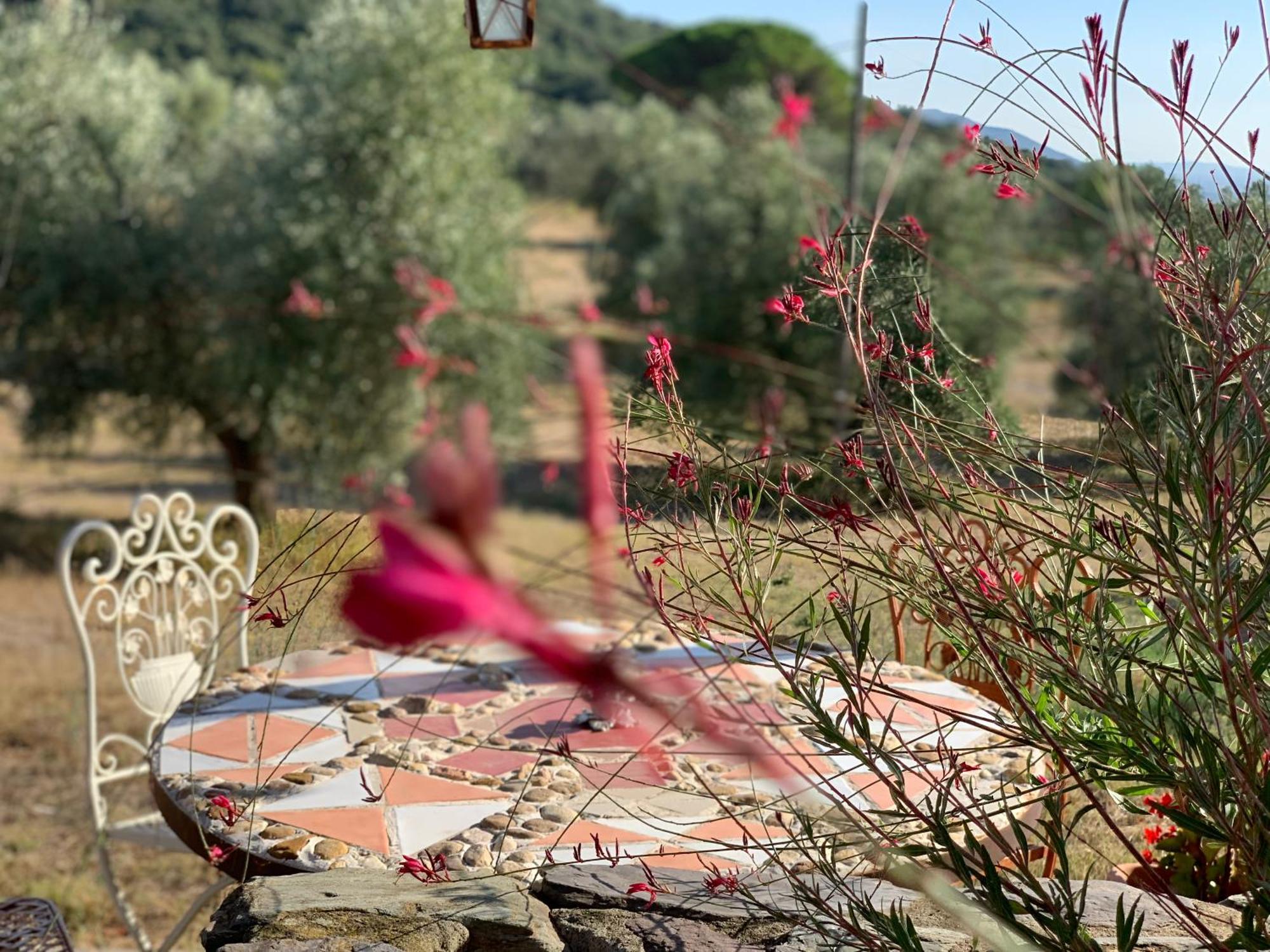 Agriturismo Poggio Falco Batignano Extérieur photo